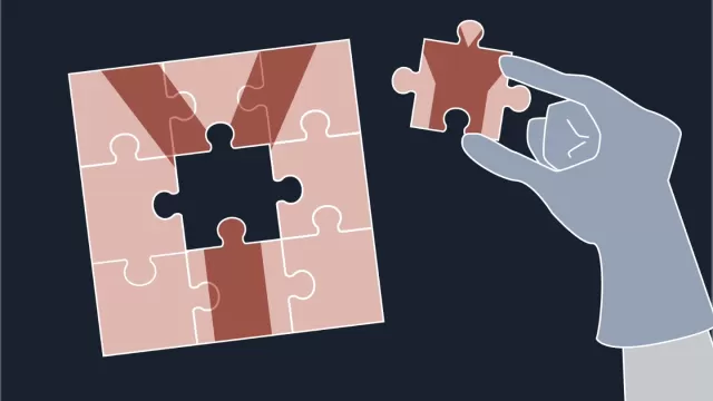 Unlocking the Genetic Enigma: Y Chromosome's Puzzle Fully Solved